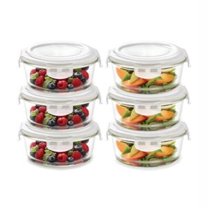 Borosil Versaclip Glass Container Set 6pc