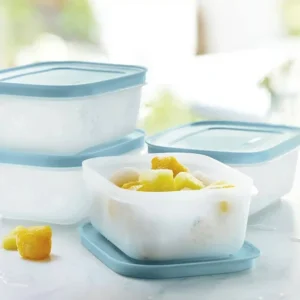 Tupperware Freeze Mate Container Set 4pc